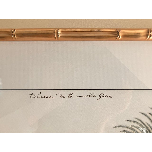 2020s Cockatoo Bird Print in Gold Faux Bamboo Frame For Sale - Image 5 of 5