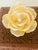 Shabby Chic 1940s Intricately Carved Tropical Wood Box With Sea Shells Flower For Sale - Image 3 of 5