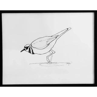 Killdeer, Original Drawing by Tawna Allred, Framed For Sale