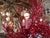 Coastal 1980s Coastal Large Iron Faux Coral Oval Chandelier For Sale - Image 3 of 9