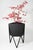 Force/Collide's award-winning signature planter is an ongoing production with multiple colors and sizes. A unique...