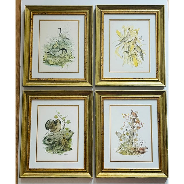 Set if 4 vintage J Lockhart bird prints in nice golden tone frames.