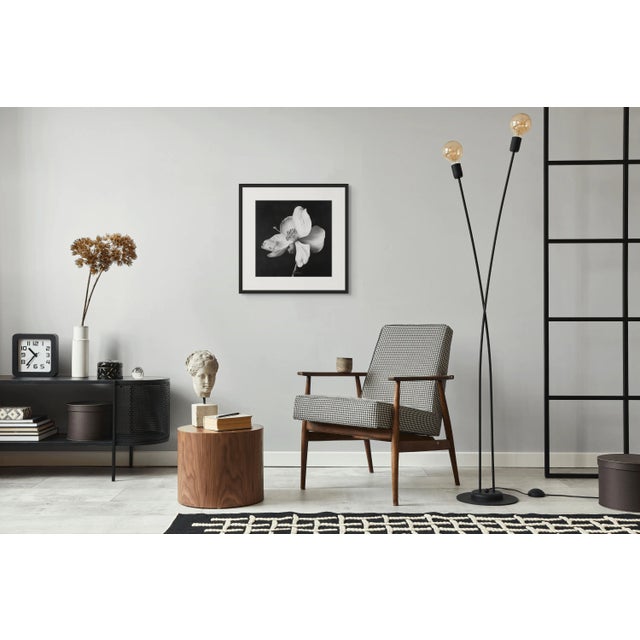 Contemporary 20" X 20" - 'Nutmeg Flower' - Black and White Botanical Photography Print For Sale - Image 3 of 6