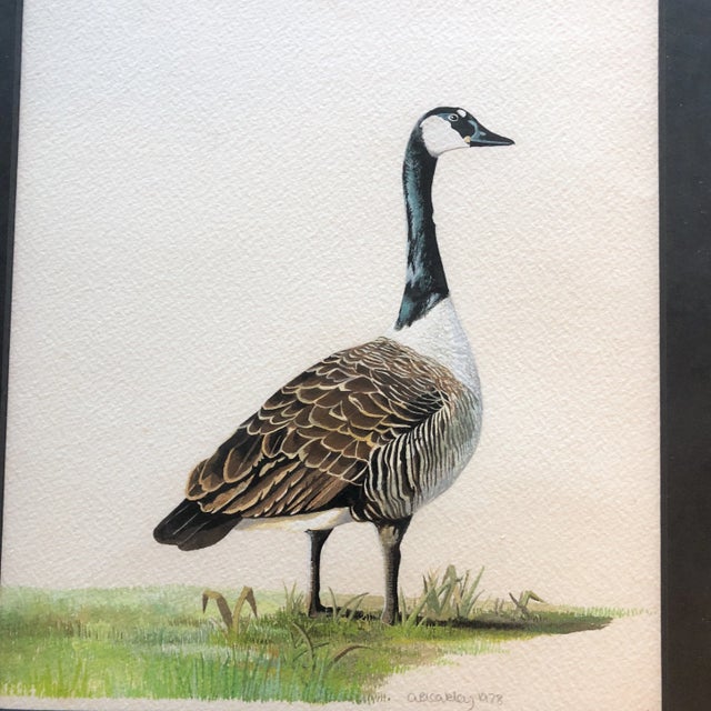 Vintage Original Watercolors Canadian Geese Originals a Pair For Sale - Image 4 of 8