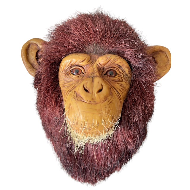 Anne Andersson, Monkey Head Natural Sisal Fiber Clay Sculpture Chimpanzee Anne Andersson Art, 2009 For Sale - Image 10 of 10