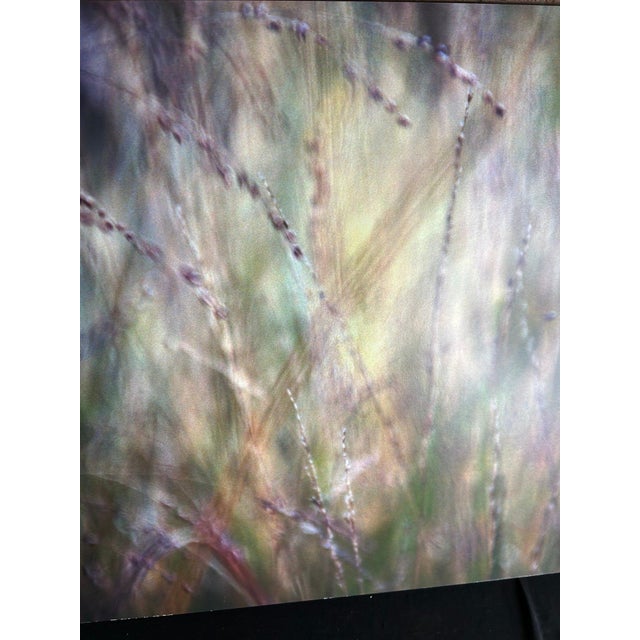 2017 Gwen Laine "Never Silent, the Wind #9" Large Abstract Color Field Photograph in Architectural Aluminum Float Frame For Sale - Image 4 of 4