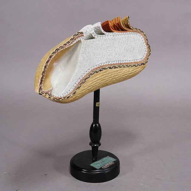 Figurative 19th Century Botanic Model by Robert Brendel - Grain Grate For Sale - Image 3 of 8