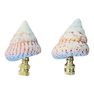 1970s Pair Polished Turbo Shells Lamp Finials For Sale