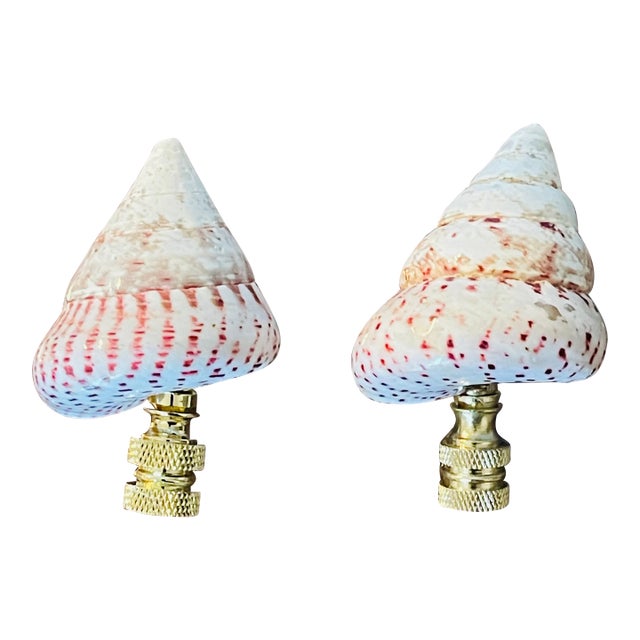 1970s Pair Polished Turbo Shells Lamp Finials For Sale