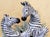 Franz Collection Jungle Beauties Safari Zebra Sculptural Porcelain Vase Fz00379 For Sale - Image 10 of 18