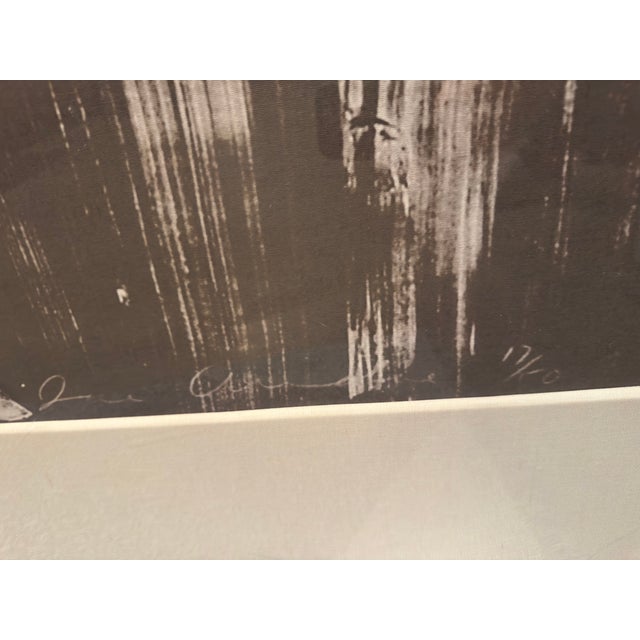 Joe Andoe, Horse I, 1994 — Plate-Signed Lithograph, Edition 17/50, Large Scale For Sale - Image 9 of 15