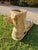 Unknown, Foot of Mercury, 18th Century, Greek Thassos Marble For Sale - Image 13 of 17