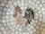 Mid-Century Modern 1950s Mid-Century Heide Mosaic of Denmark Stone Marble Mosaic Rooster Plate For Sale - Image 3 of 6