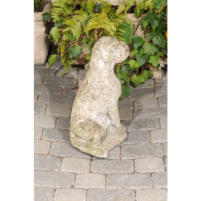 Vintage French Stone Sculpture of Dog in Sitting Position from the 1920s-1940s For Sale In Atlanta - Image 6 of 10