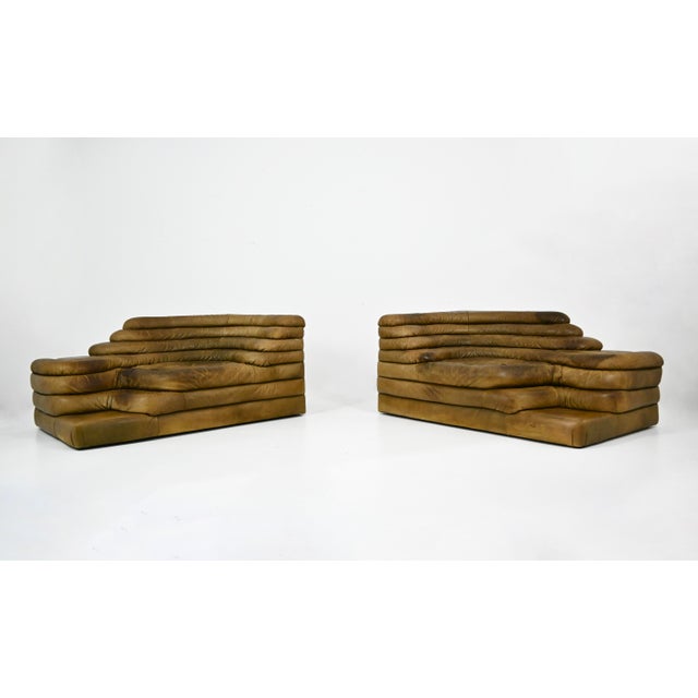DS-1025 Terrazza Sofa by Ubald Klug for de Sede, 1970s, Set of 2 For Sale - Image 9 of 13