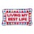 "Living My Best Life" Needlepoint Decorative Pillow For Sale
