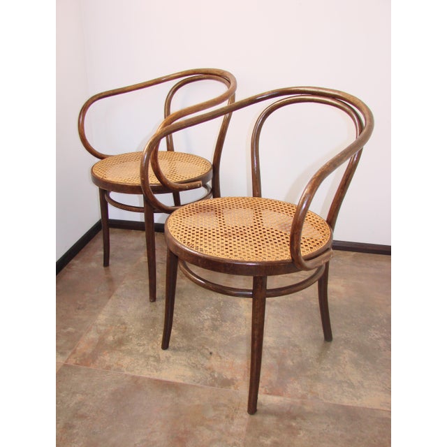 B9/209 Armchairs No. 209 by Radomsko for Thonet, 1960s, Set of 2, in Very Good conditions. Designed 1960 to 1969