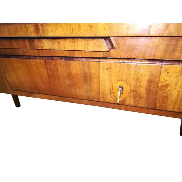 Mid-18th Century Regency Style Olive Root Wood Desk with Drawings, Italy, 1760 For Sale - Image 6 of 7