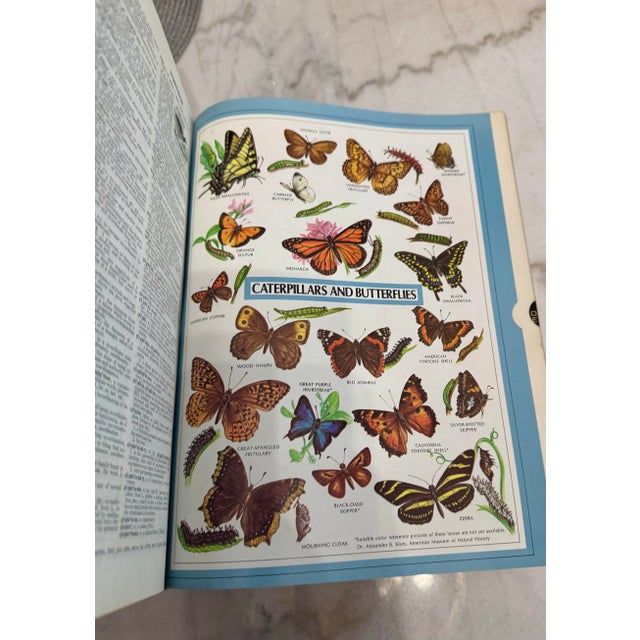 Blue Vintage Mid-Century Webster's New Twentieth Century Unabridged Dictionary - Second Edition For Sale - Image 8 of 11