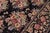 Floral 1990's Pak-Persian Black/Black Wool Rug - 9'1'' X 11'10'' For Sale In New York - Image 6 of 9