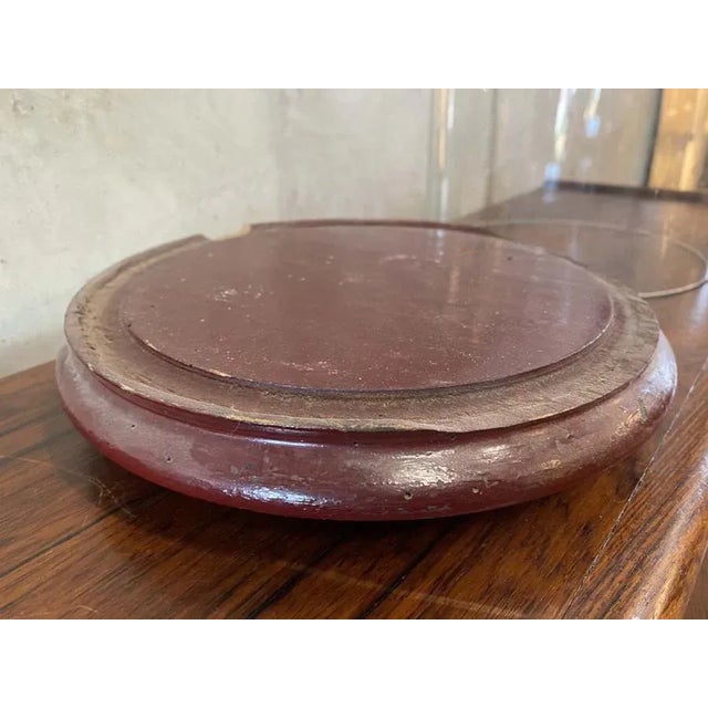 Big Glass Cover, 1900s For Sale - Image 9 of 13