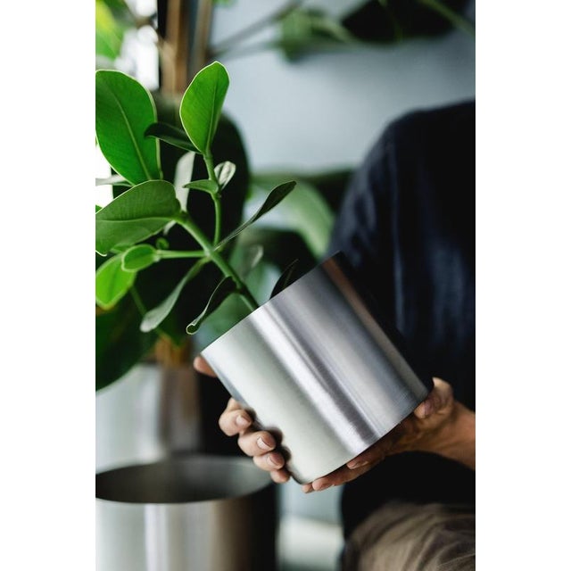 Large Loto Planter in Stainless Steel by Form & Eisen For Sale - Image 11 of 18