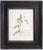 Wood Custom Framed Vintage Finnish Herbarium Botanical Specimens - Set of Four For Sale - Image 7 of 18