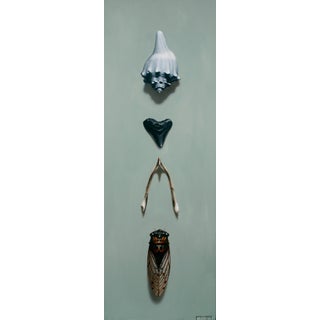 Found by Patrick Nevins | Oil on wood Still life of shells, stones, and a cicada. For Sale