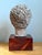 Mid-Century Modern Vintage Plaster Head Sculpture on Wood Base For Sale - Image 3 of 12