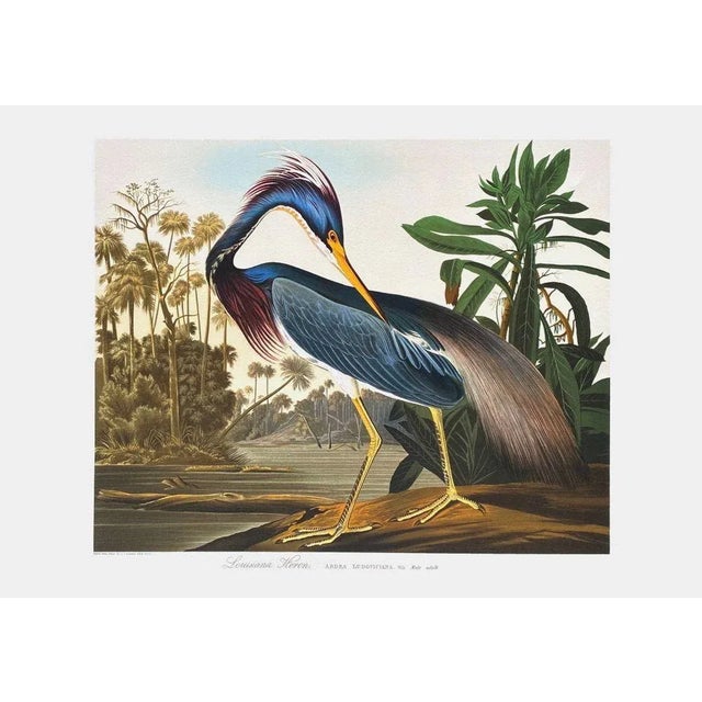 1990 lithograph on BFK Rives paper unsigned and not numbered 74 x 105 cm illustration : 61 x 76 cm printed by : Art...