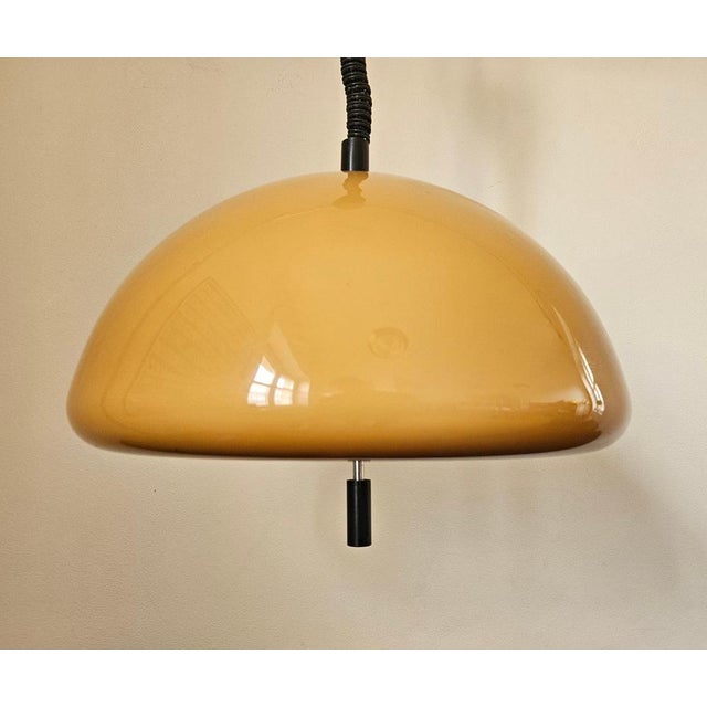 Mid-Century Pendant by Luigi Massoni for Guzzini, Italy, 1970s For Sale - Image 6 of 14