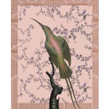 "Hummingbird in Desert Pink" Contemporary Bird and Botanical Print 16x20 For Sale