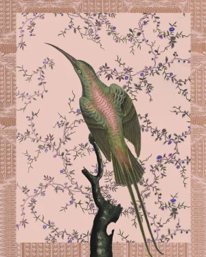 "Hummingbird in Desert Pink" Contemporary Bird and Botanical Print 16x20