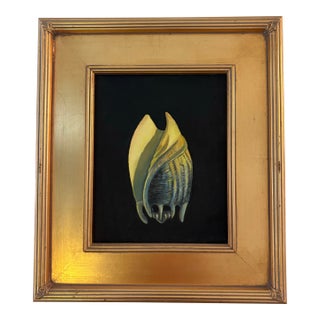 Vintage Oil on Canvasboard Painting of a Conch Seashell For Sale