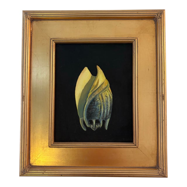 Vintage Oil on Canvasboard Painting of a Conch Seashell For Sale