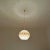 Butterfly Pendant Lamp by Lars Schiøler for Hoyrup Denmark For Sale - Image 10 of 11