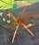 Mid Century Walnut Glass Occasional Table in the Style of Adrian Pearsall For Sale In Tampa - Image 6 of 7