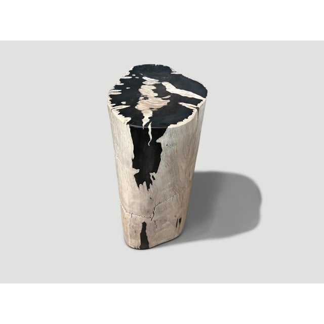 Andrianna Shamaris Striking Ancient Petrified Wood Side Table For Sale In New York - Image 6 of 6