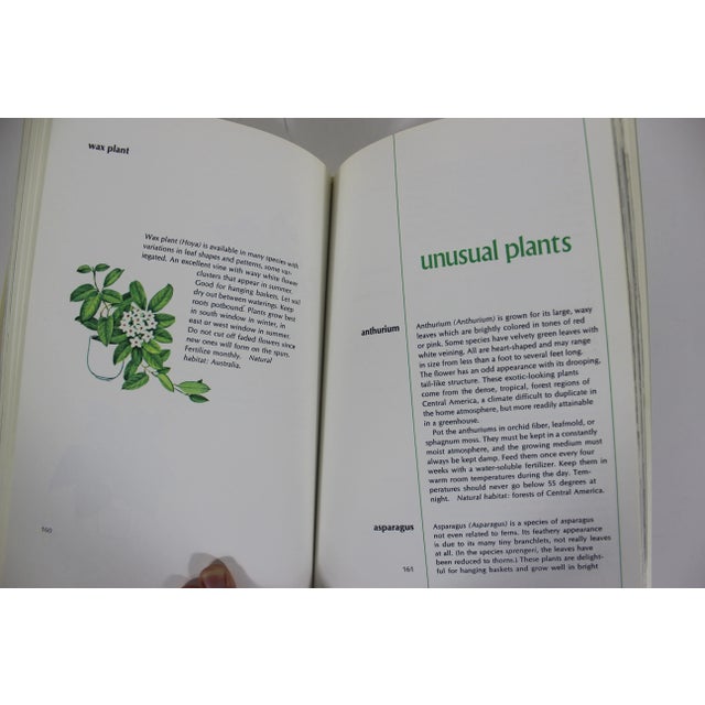 1970s 1973 the New York Times Book of House Plants by Joan Lee Faust Book For Sale - Image 5 of 9
