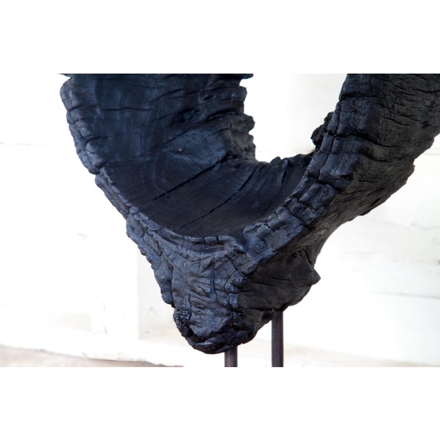 Kandara Yakisugi Modern Organic Sculpture For Sale - Image 4 of 11