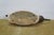 1980s Bob Hayden Windy Creek Hand Carved & Painted Wood Pintail Drake Duck Decoy 21" For Sale - Image 9 of 13