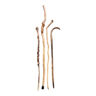 Late 20th Century Set Four Rustic Twisted and Knobby Carved Walking Sticks For Sale