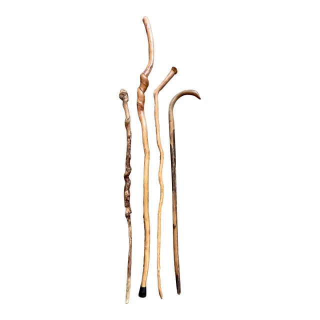 Late 20th Century Set Four Rustic Twisted and Knobby Carved Walking Sticks For Sale