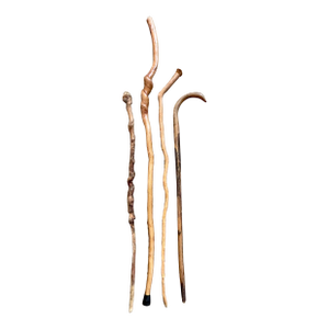 Late 20th Century Set Four Rustic Twisted and Knobby Carved Walking Sticks