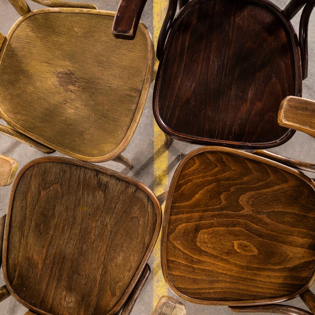 Standard Fan Back Bistro Mixed Dining Armchairs, 1950s, Set of 6 For Sale - Image 10 of 12