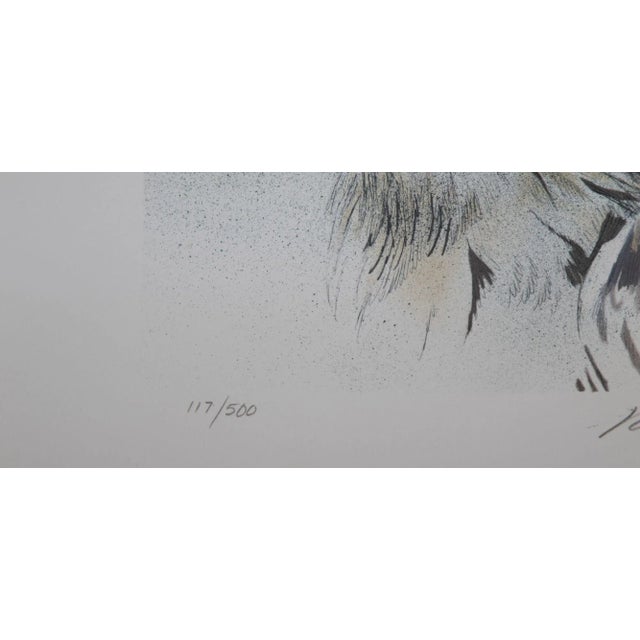 Paper Late 20th Century Vigilance Eagle Bust Signed Limited Edition Original Lithograph by Robert Bateman For Sale - Image 7 of 13