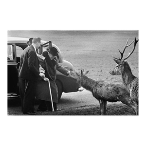 'Churchill in Richmond Park' Unframed Archival Pigment Print