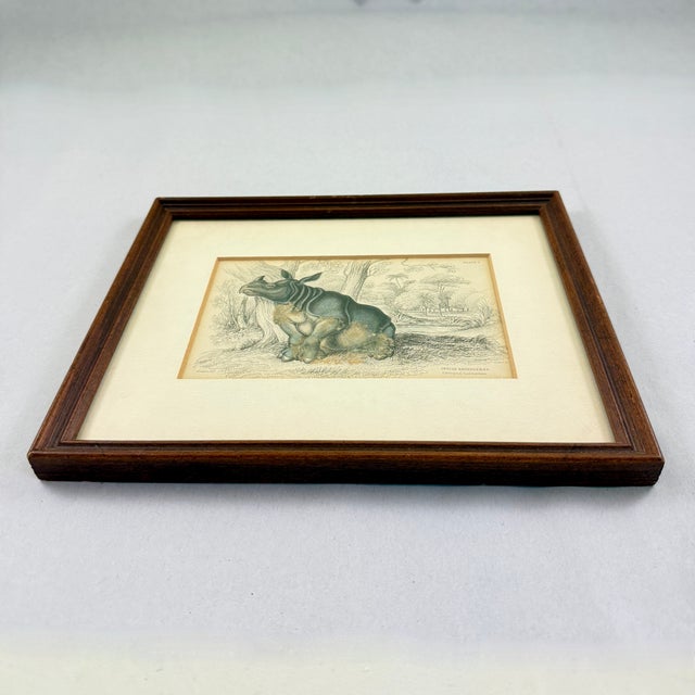 James Stewart Indian Rhinoceros Hand Colored Copper Engraving, Framed – 1836 For Sale - Image 9 of 11