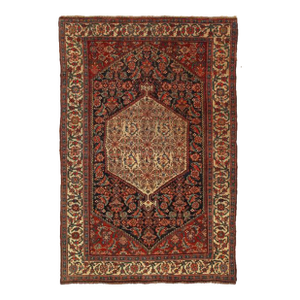 Pasargard DC Rust Color Antique Bidjar Rug