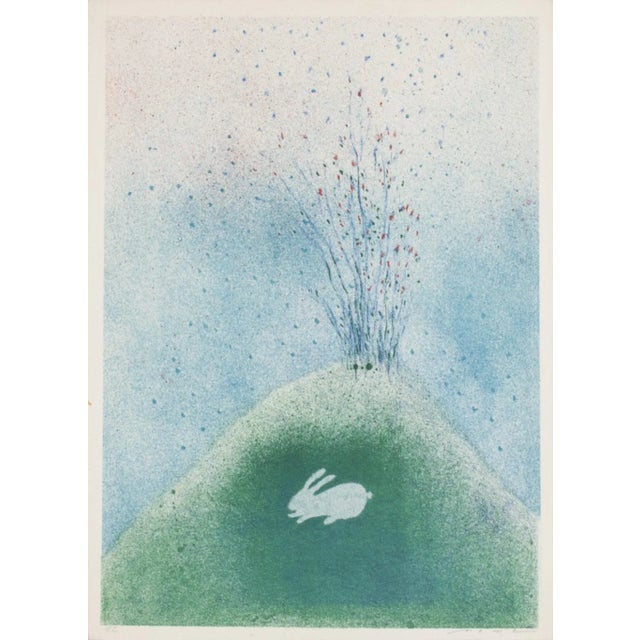 Rabbit on the Volcano'' is a splendid lithograph, engraved by the artist None. The state of preservation of the artwork is...